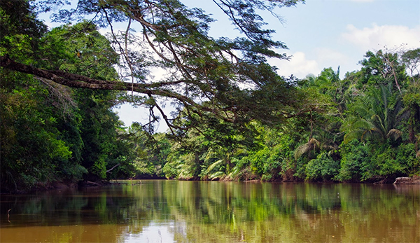 Unique Cano Negro Tour by Boat