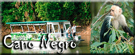 Cano Negro Wildlife Refuge Cano Negro Wildlife Refuge